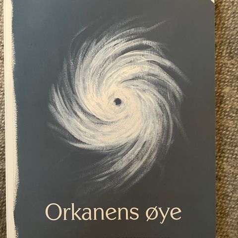Orkanens øye av Ivar Vehler