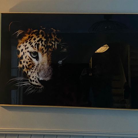 Leopardbilde i glass med gullramme 120x80