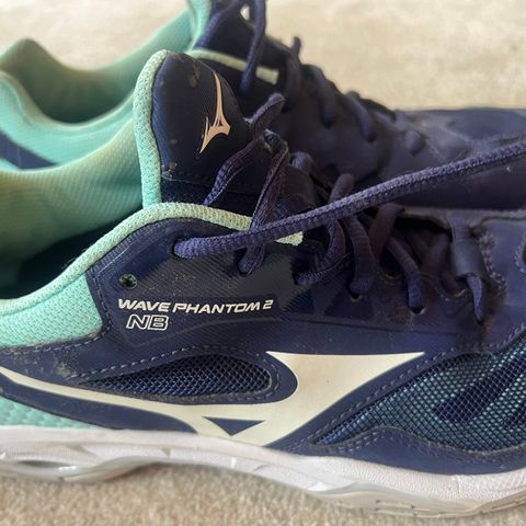 Mizuno joggesko