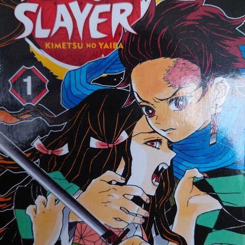 Selger 3.stk pent brukt Demon Slayer bøker