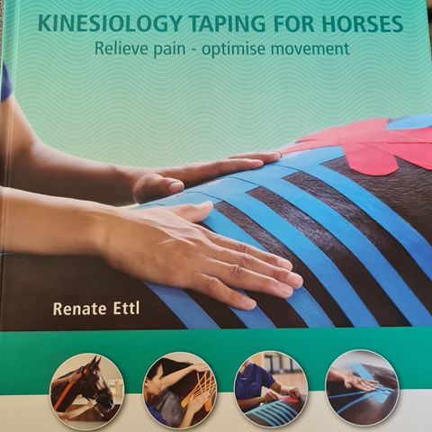 Kinesiology taping for horses Bok