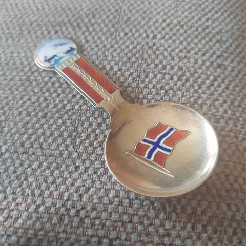 Vintage Norsk Caddieskje