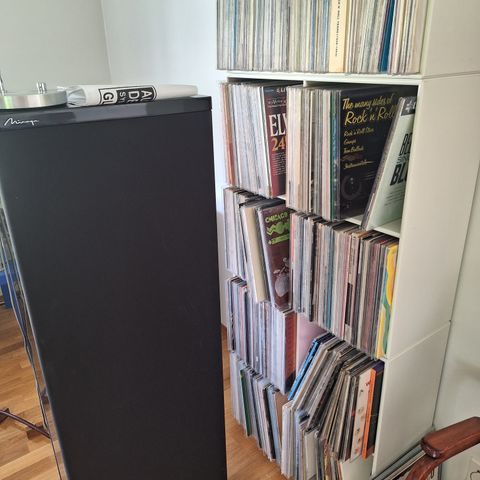 Stor vinyl/LP-samling selges