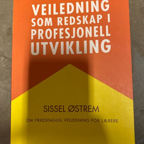 Veiledning som redskap i profesjonell utvikling