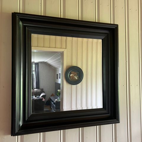 Svart/brunt speil
