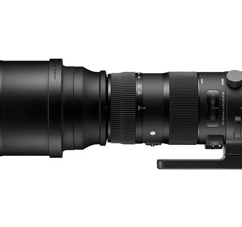 Sigma 150-600/5-6.3 DG OS HSM - Canon EF