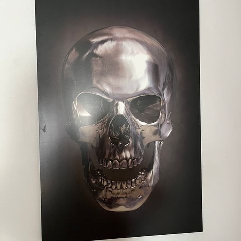 Scull 60x90 Hodeskalle bilde