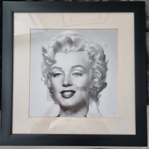 Marlin Monroe