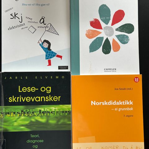 Fagbøker norsk didaktikk og lese/skrivevansker
