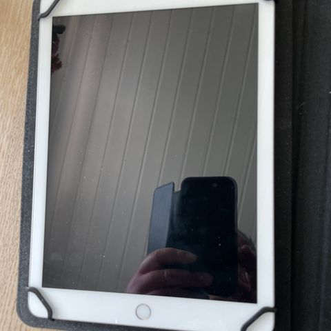 iPad