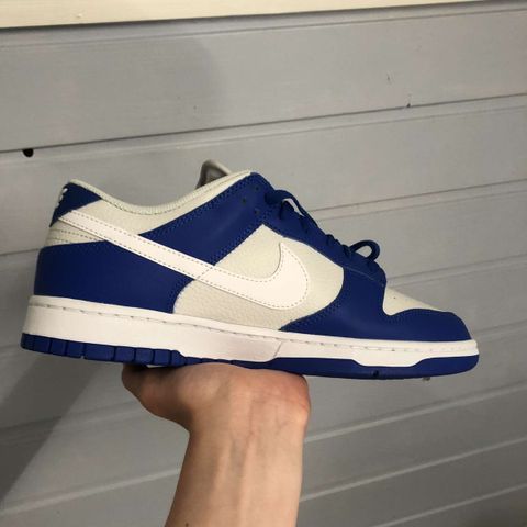 Str 44 | Helt nye og ubrukte Nike Dunks