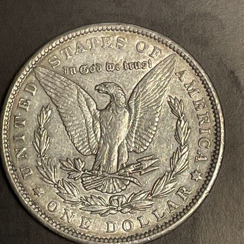 USA Silver Dollar 1900