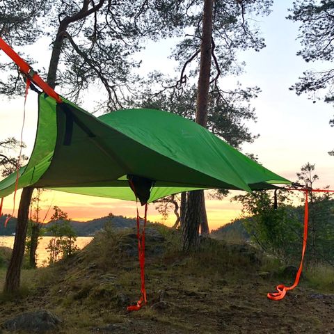 2 stk Tentsile tretelt