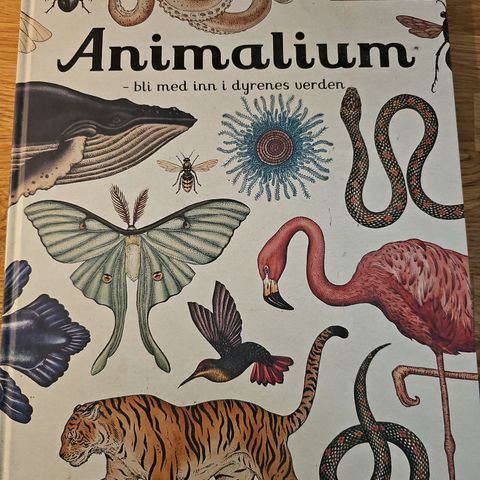 Animalium - bli med inn i dyrenes verden