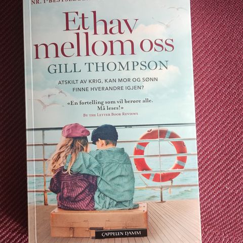 Gill Thompson - Et hav mellom oss - pocket