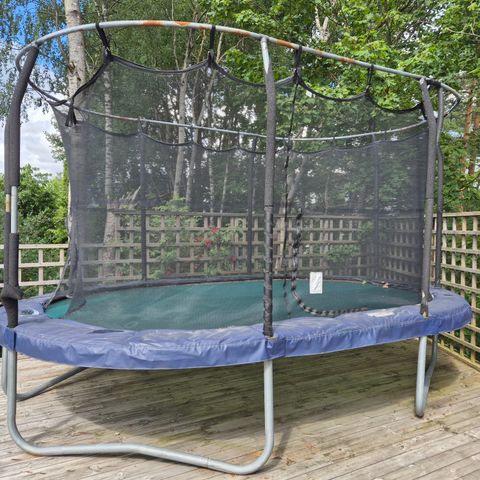 Oval Jumping Trampoline 3,1 x 4,6 m