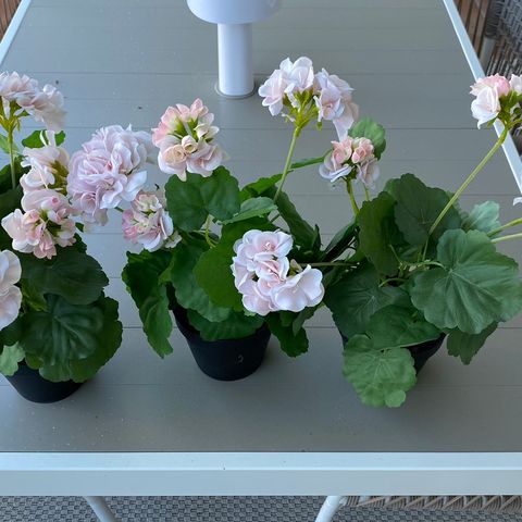 Falske pelargoniablomster fra IKEA