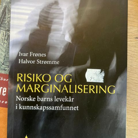 Risiko og marginalisering