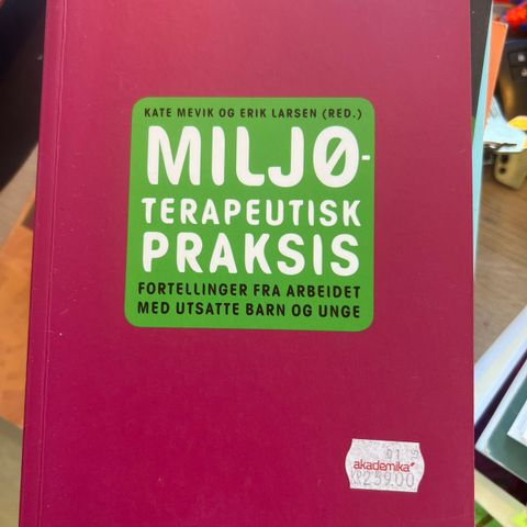 Miljøterapeutisk praksis