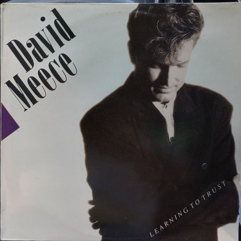 Vinyl lp David Meece