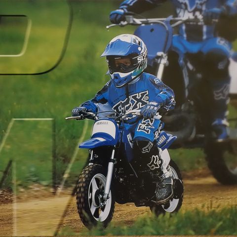 Yamaha PW50/80 1999 brosjyre