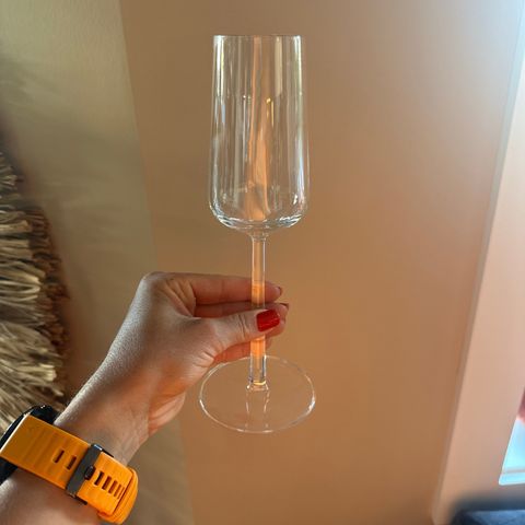 Iittala Champagneglass