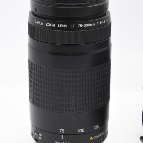 Canon EF 75-300mm f/4-5.6 II objektiv