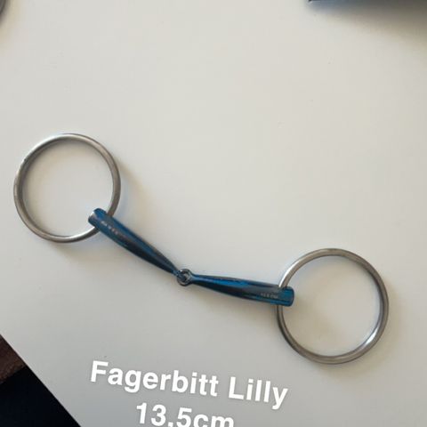 Fager bitt Carl og Lilly