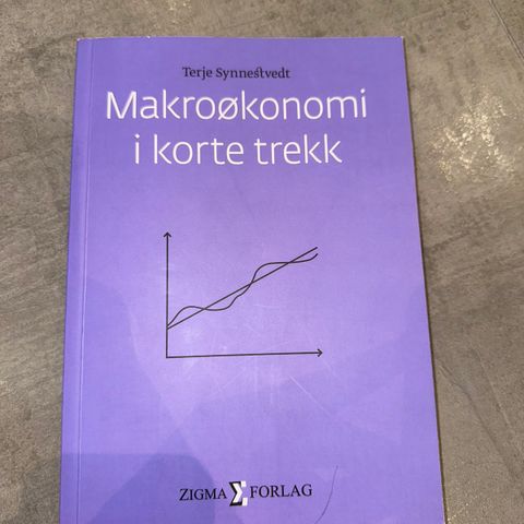 Makroøkonomi i korte trekk - Terje Synnestvedt