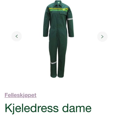 Felleskjøpet dress dame