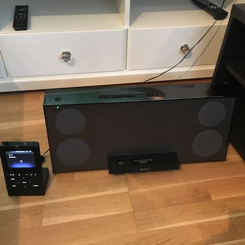 Sony Multimedia System - Stereo