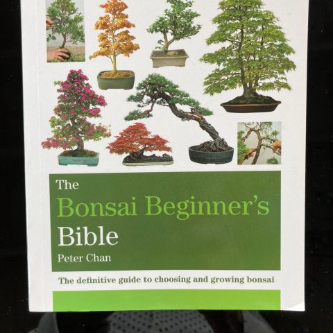 Bonsai for beginners - Bible