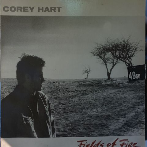 Vinyl lp Corey Hart