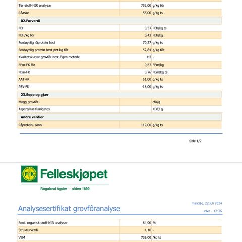 Høy H3 Med Foranalyse