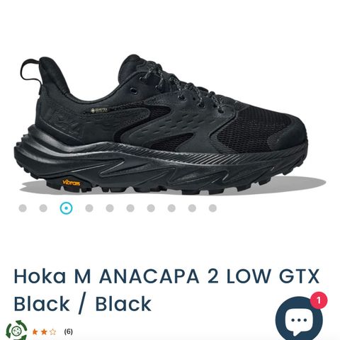 Hoka Anacapa GoreTex