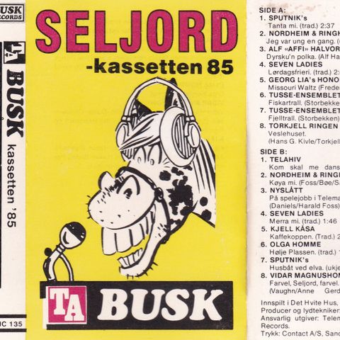Diverse artister - Seljord-kassetten 85