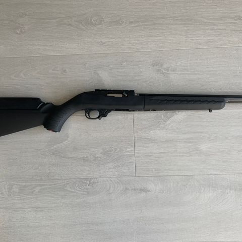 Ruger 10/22 Take Down Salong rifle