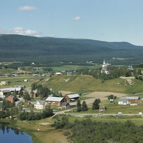 Bygdebøker i Nord-Østerdalen, Alvdal, Tynset og Tolga