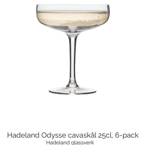 Hadeland Odysse cavaskål 25cl, 6-pack