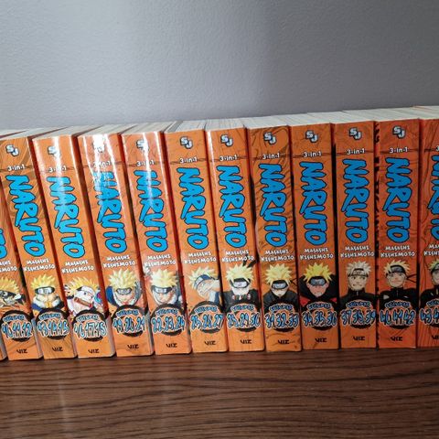 English Books for 7-12 years boy (all Naruto, pokemin, Minecraft..)