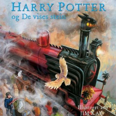 Harry Potter og de vises stein (stort format)