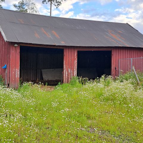 Vognskjul gis bort på rot.