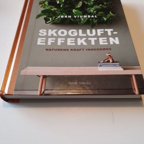 Skoglufteffekten