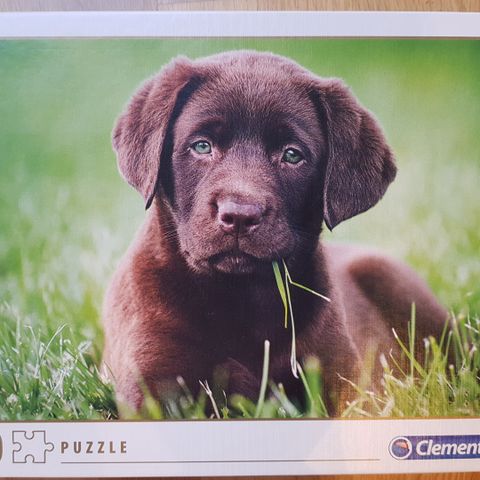 Clementoni "Chocolate Puppy" puslespill 500 brikker