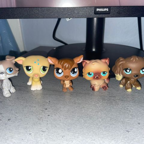 Littlest pet shop leker