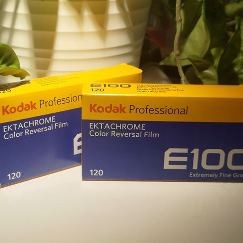 Kodak Ektachrome E100