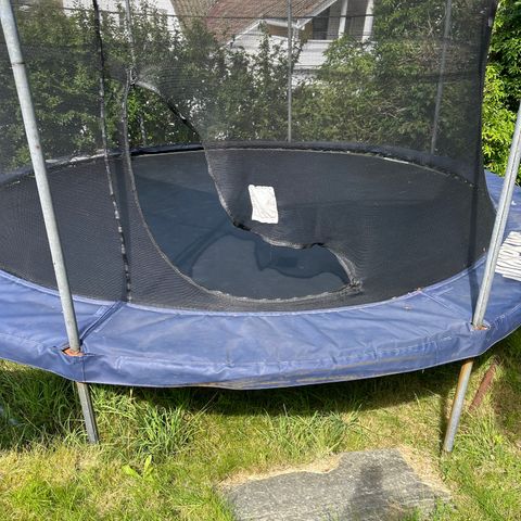 Trampoline