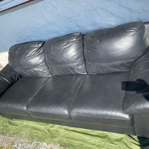 Sofa (skinn)