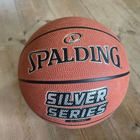 Spalding basketball str. 5