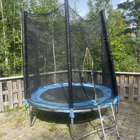 Trampoline